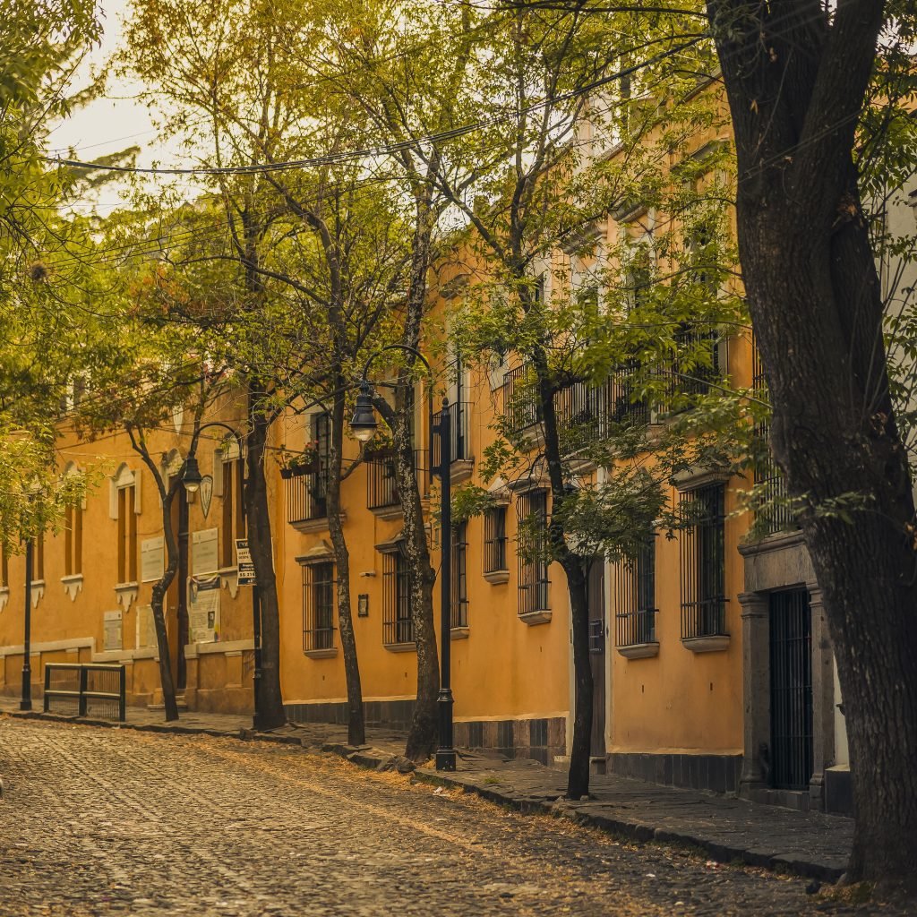 Coyoacan Neighborhood in Mexico City