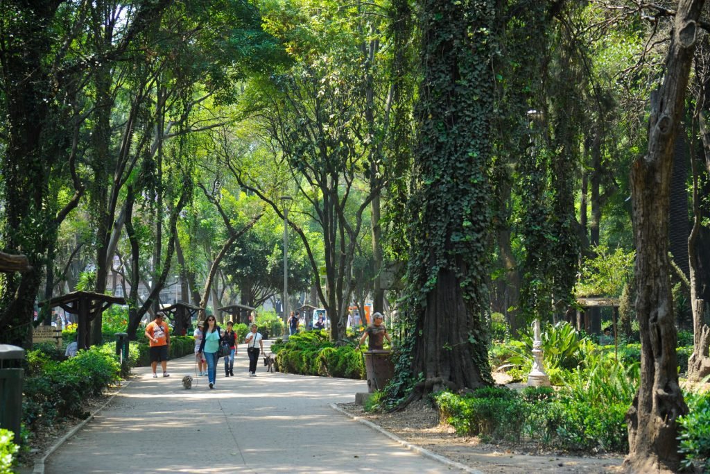 Parque Mexico Roma Norte Condesa