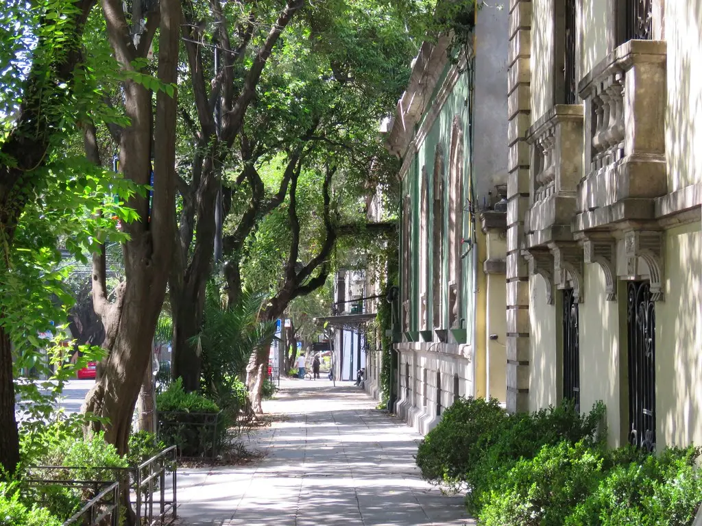 best neighborhoods in mexico city