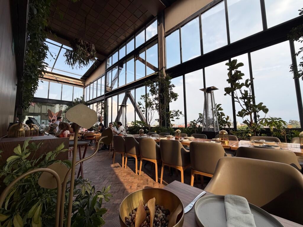 altanera rooftop mexico city