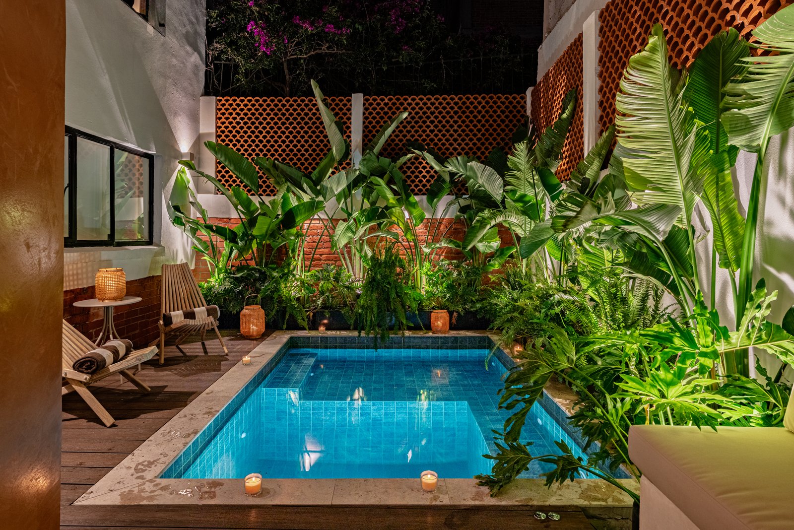 Small illuminated private plunge pool surrounded by lush green foliage at Casa Sombrerete Mexico City.
