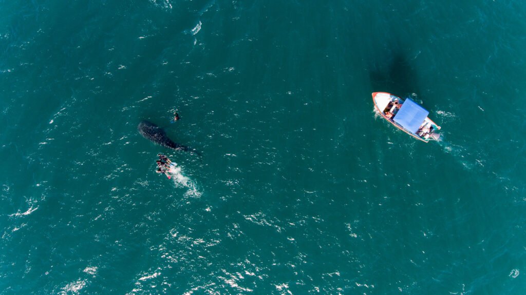 los cabos weather snorkeling
