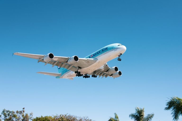 los cabos flights