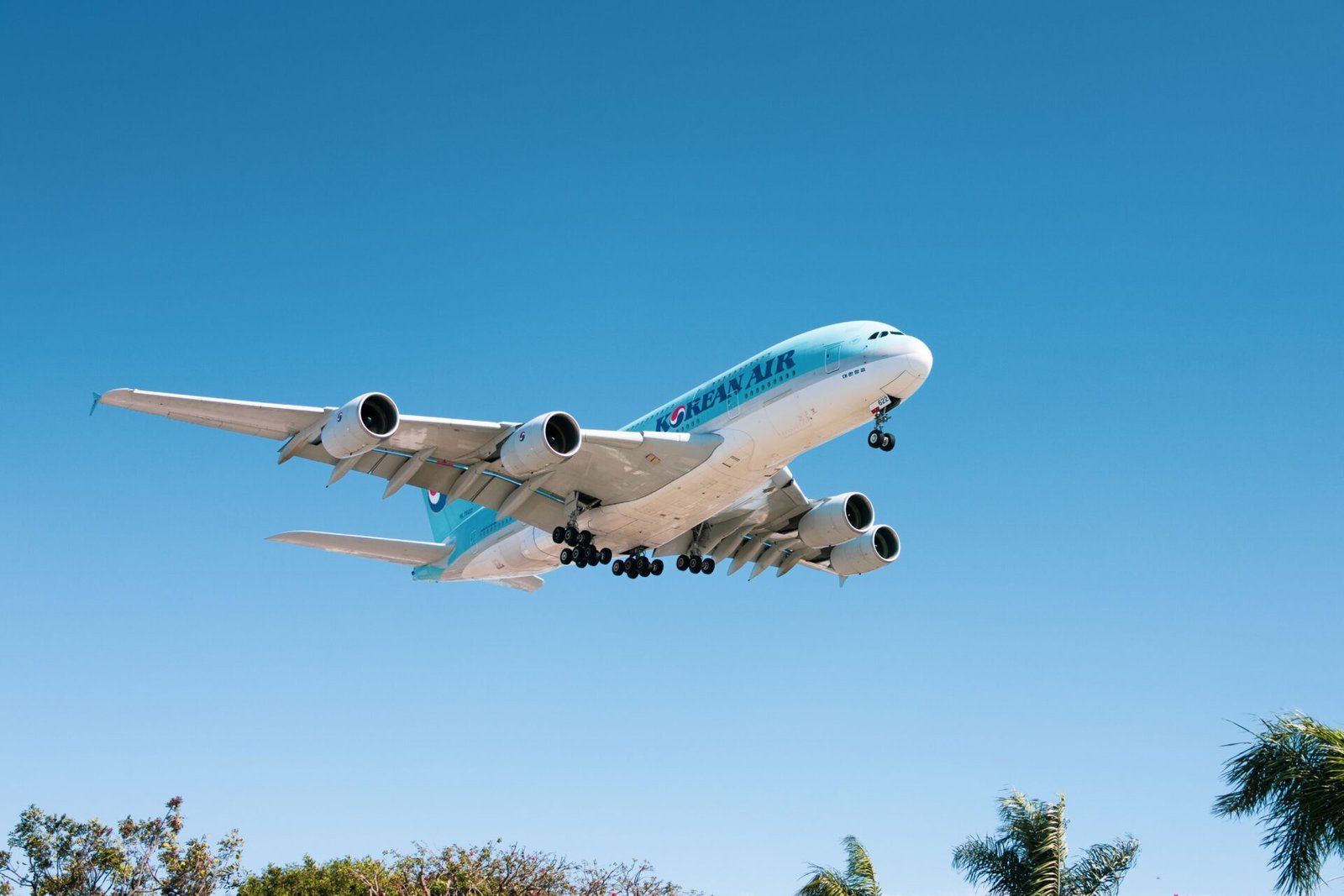 los cabos flights