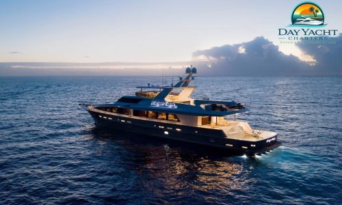 Large bronze and white luxury mega yacht with an attached inflatable ocean pool at Sovereign Luxury Yacht Cabo San Lucas.