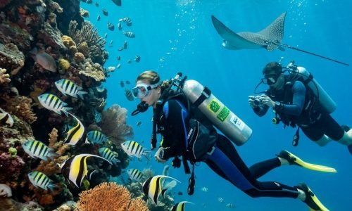 Scuba diving in Cabo San Lucas exploring colorful marine life and coral reefs