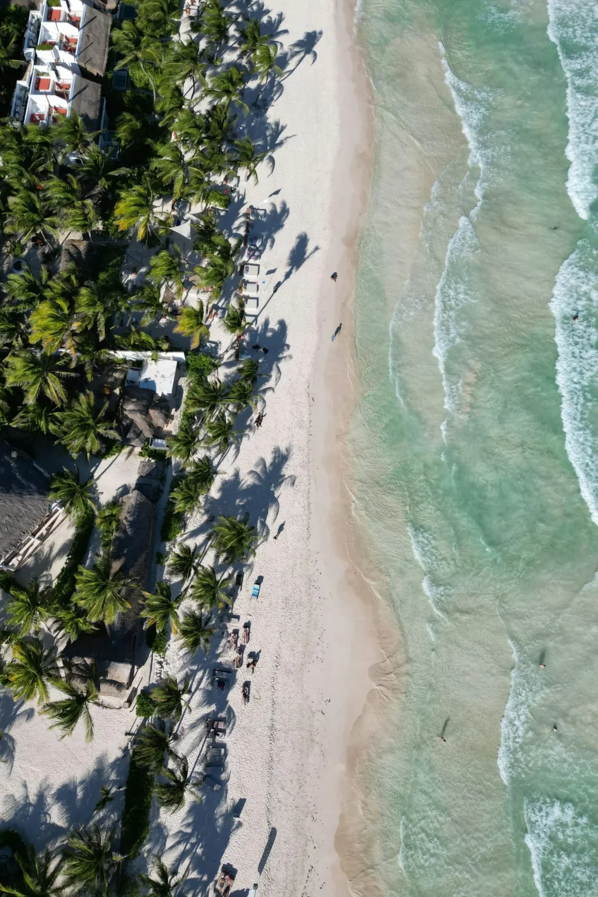 Vertical overhead drone photo of turquoise sea shoreline with palm tree shadows on white sand at Two Travel Home.