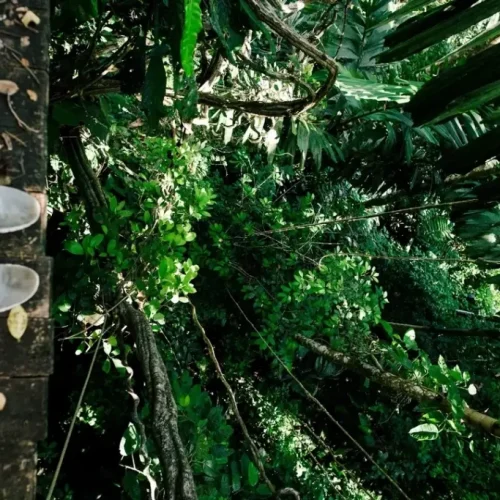 adventure sports tulum